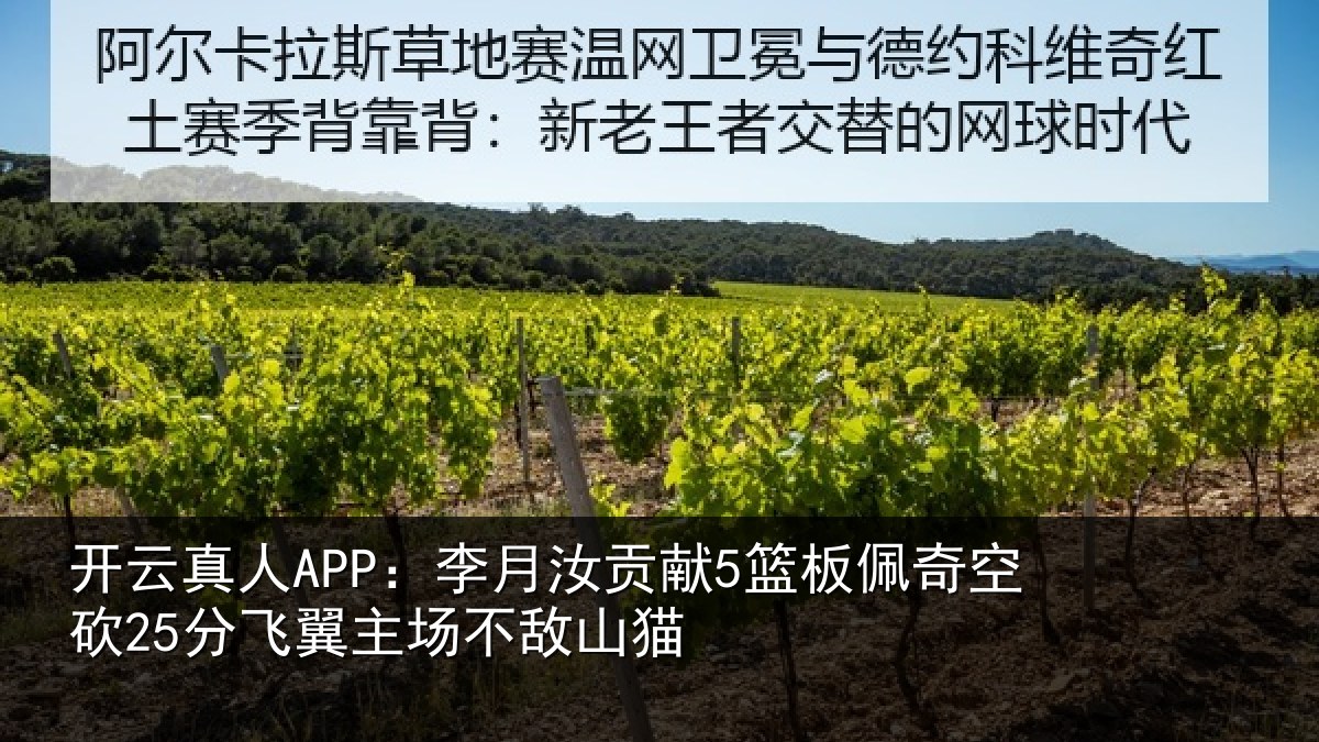 开云真人APP：李月汝贡献5篮板佩奇空砍25分飞翼主场不敌山猫