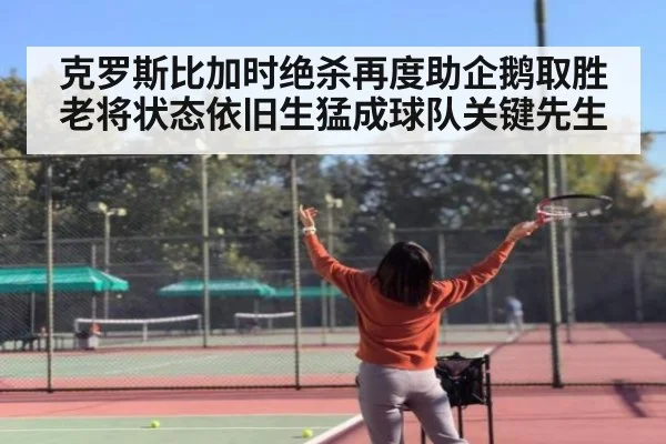 克罗斯比加时绝杀再度助企鹅取胜 老将状态依旧生猛成球队关键先生